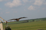 Photo /users/ganesh/gryphon/2116
