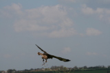 Photo /users/ganesh/gryphon/2119