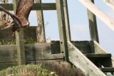 Photo /users/ganesh/gryphon/2122