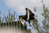 Photo /users/ganesh/gryphon/2126