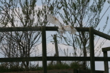 Photo /users/ganesh/gryphon/2130