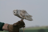 Photo /users/ganesh/gryphon/2132