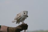 Photo /users/ganesh/gryphon/2133