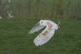 Photo /users/ganesh/gryphon/2135