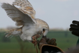 Photo /users/ganesh/gryphon/2136