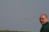 Photo /users/ganesh/gryphon/2147