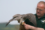 Photo /users/ganesh/gryphon/2166