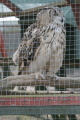Photo /users/ganesh/gryphon/2199