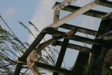 Photo /users/ganesh/gryphon/2210