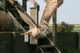 Photo /users/ganesh/gryphon/2211