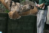 Photo /users/ganesh/gryphon/2212