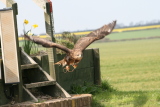 Photo /users/ganesh/gryphon/2220