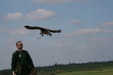 Photo /users/ganesh/gryphon/2223