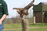 Photo /users/ganesh/gryphon/2225