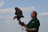 Photo /users/ganesh/gryphon/2226