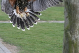 Photo /users/ganesh/gryphon/2245