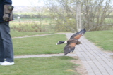 Photo /users/ganesh/gryphon/2248