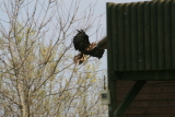Photo /users/ganesh/gryphon/2264