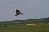 Photo /users/ganesh/gryphon/2274