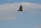 Photo /users/ganesh/gryphon/2276