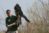 Photo /users/ganesh/gryphon/2280