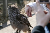 Photo /users/ganesh/gryphon/2286