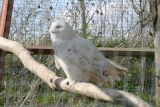 Photo /users/ganesh/gryphon/2344