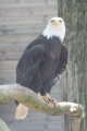 Photo /users/ganesh/gryphon/2350
