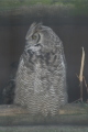 Photo /users/ganesh/gryphon/2351