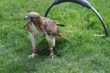 Photo /users/ganesh/gryphon/2353