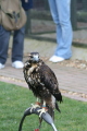 Photo /users/ganesh/gryphon/2354