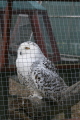 Photo /users/ganesh/gryphon/2358
