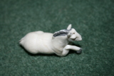 Photo /users/ganesh/gryphon/2463
