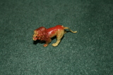 Photo /users/ganesh/gryphon/2464