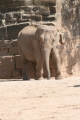 Photo /users/ganesh/gryphon/2653