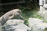 Photo /users/ganesh/gryphon/2673