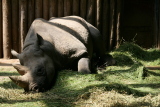 Photo /users/ganesh/gryphon/2710