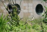 Photo /users/ganesh/gryphon/2714