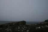 Photo /users/ganesh/gryphon/3009