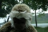Photo /users/ganesh/gryphon/3072