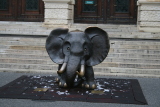 Photo /users/ganesh/gryphon/312