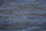 Photo /users/ganesh/gryphon/3124