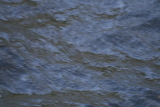 Photo /users/ganesh/gryphon/3125