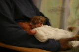 Photo /users/ganesh/gryphon/3216