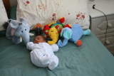 Photo /users/ganesh/gryphon/3274