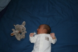 Photo /users/ganesh/gryphon/3308