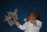 Photo /users/ganesh/gryphon/3309