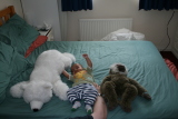 Photo /users/ganesh/gryphon/3498