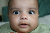 Photo /users/ganesh/gryphon/3501