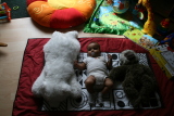 Photo /users/ganesh/gryphon/3596